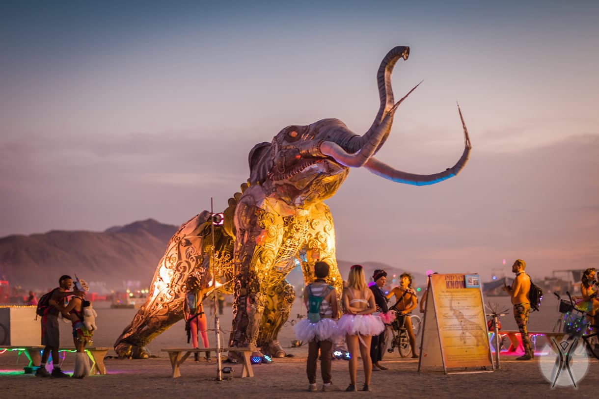 The People of Burning Man - Passion Passport