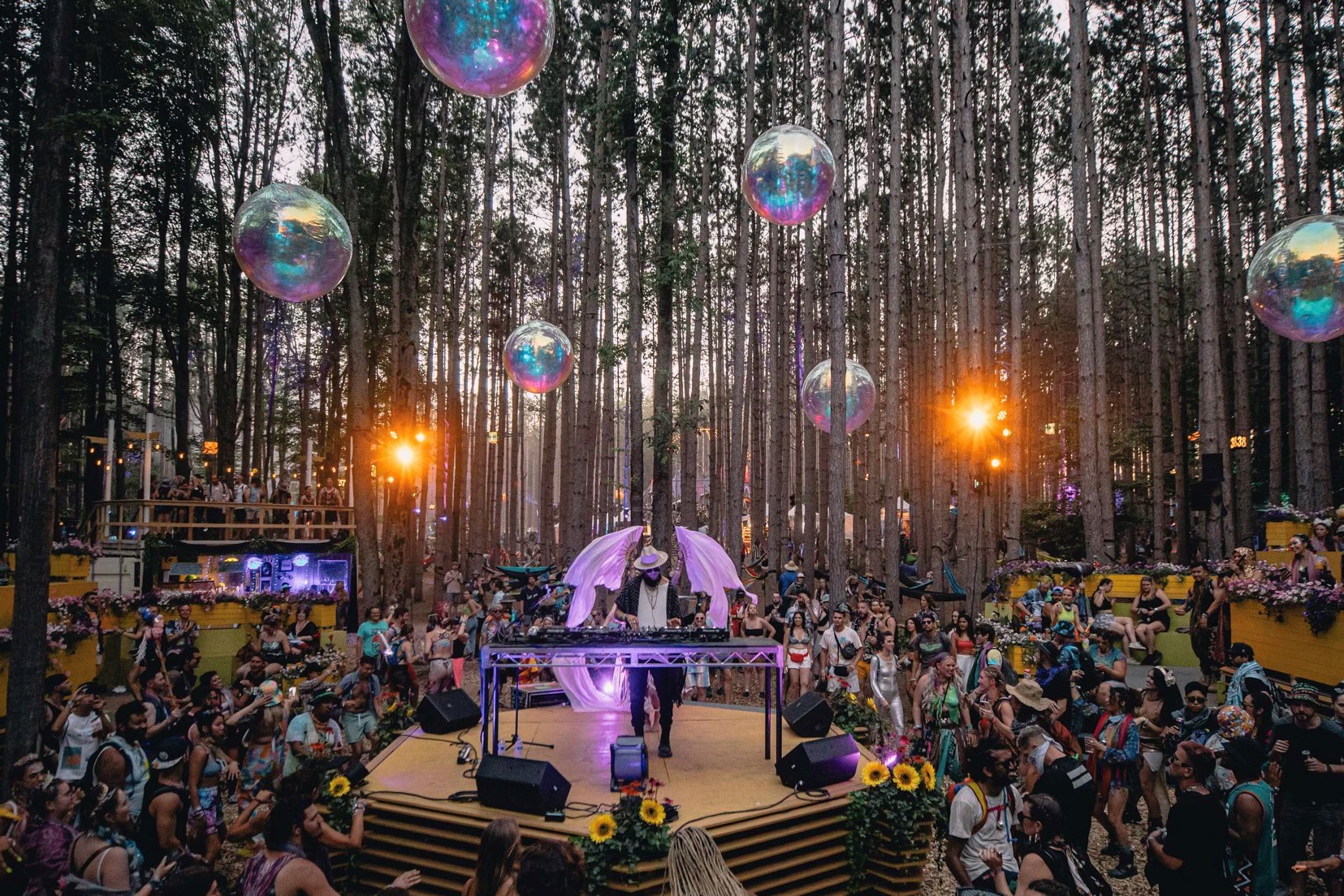 Electric Forest