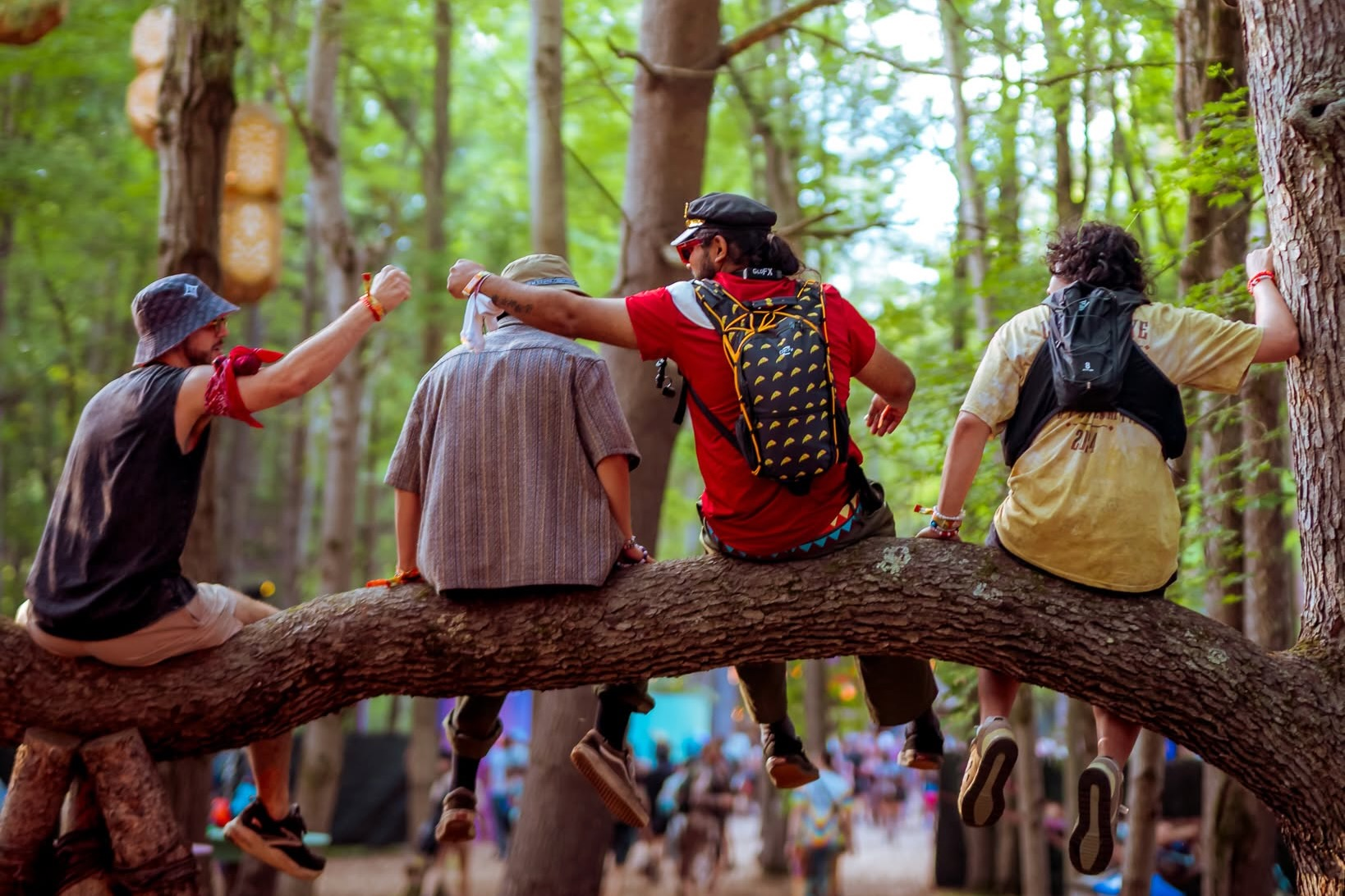 Electric Forest