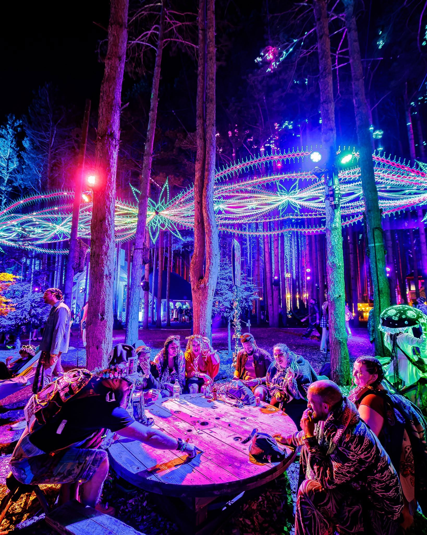 Electric Forest