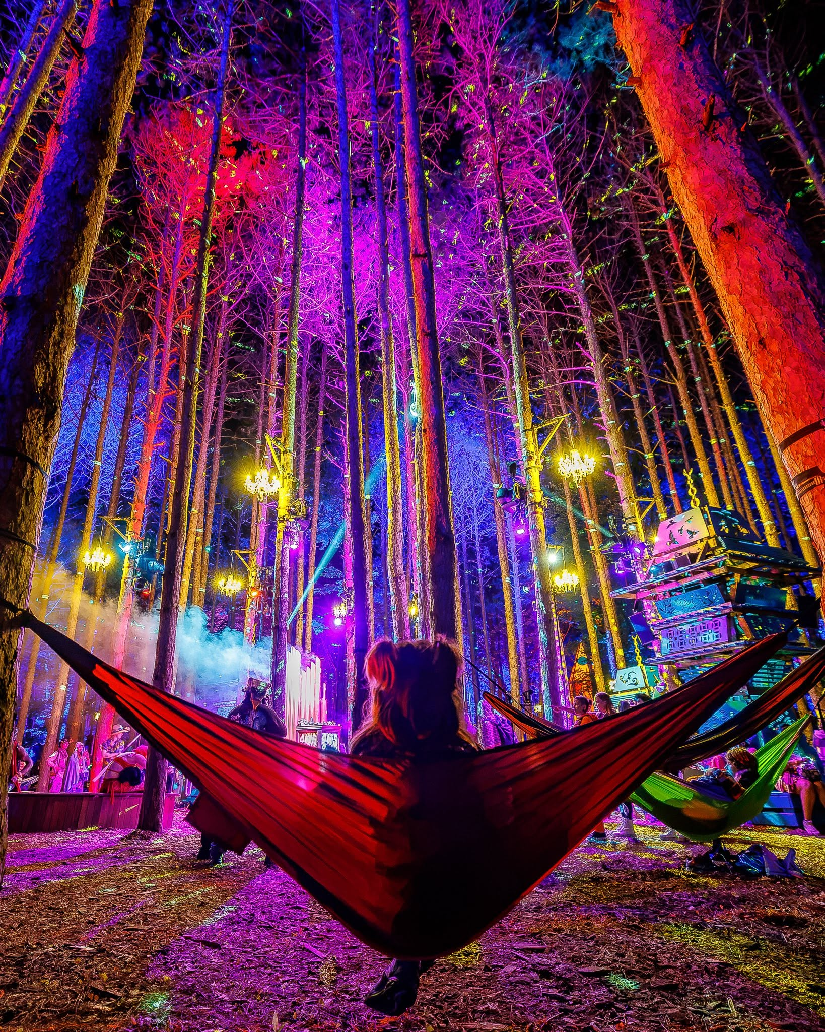 Electric Forest