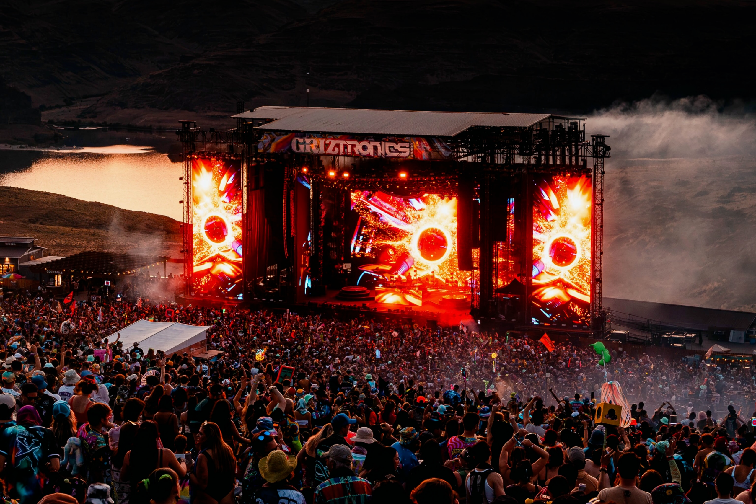 GRIZTRONICS